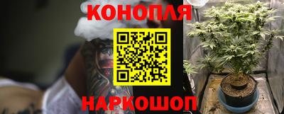 молекула духа Будённовск