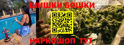 молекула духа Будённовск