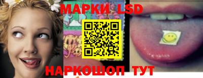 молекула духа Будённовск