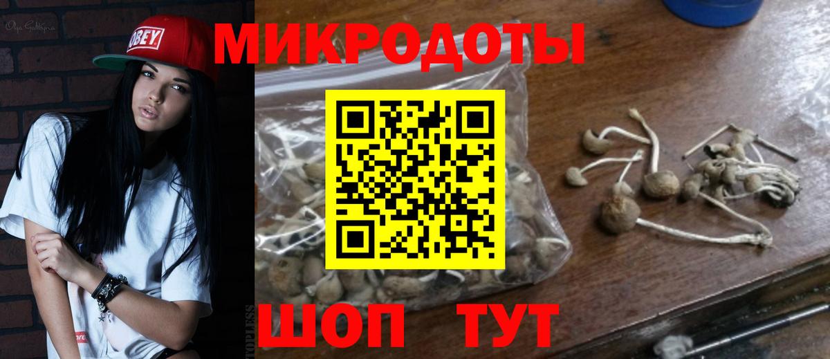 Галлюциногенные грибы мухоморы  Вход с VPN  Мончегорск 